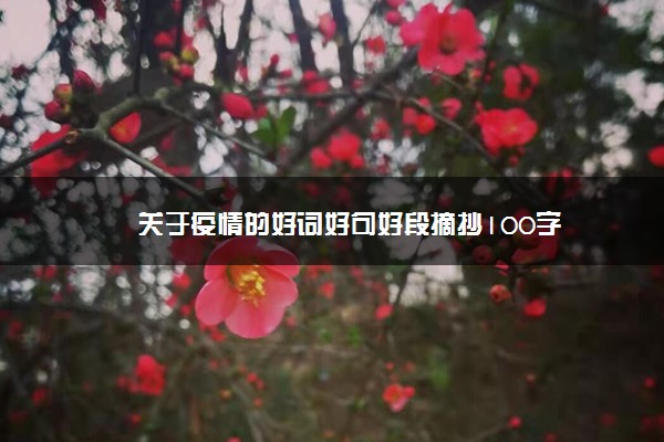 关于疫情的好词好句好段摘抄100字