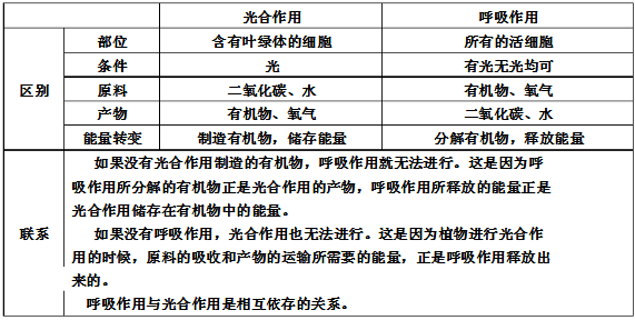 光合作用和呼吸作用的区别和联系表格