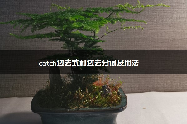 catch过去式和过去分词及用法