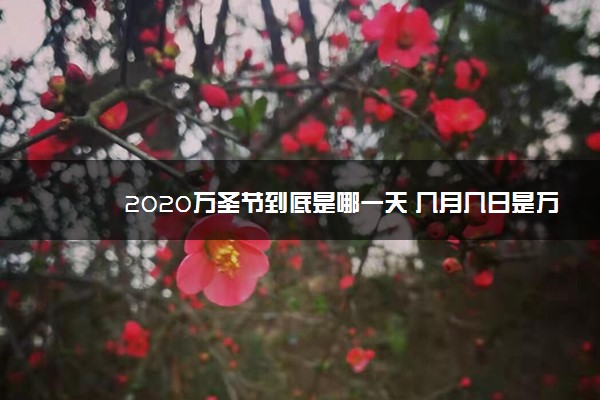 2020万圣节到底是哪一天 几月几日是万圣节