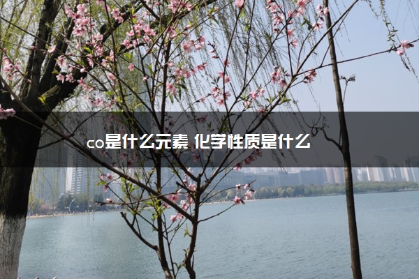 co是什么元素 化学性质是什么