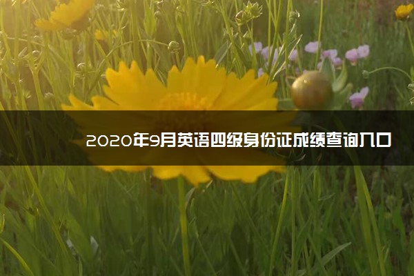 2020年9月英语四级身份证成绩查询入口