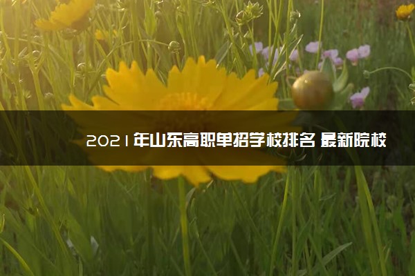 2021年山东高职单招学校排名 最新院校排行榜