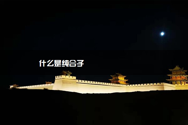 什么是纯合子