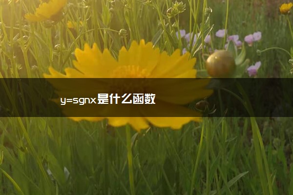 y=sgnx是什么函数