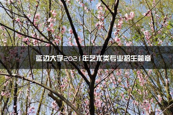 延边大学2021年艺术类专业招生简章