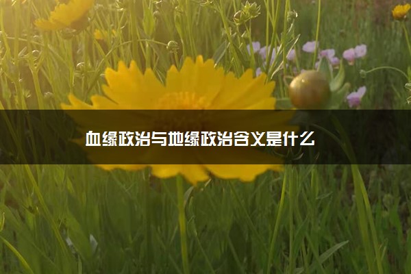 血缘政治与地缘政治含义是什么