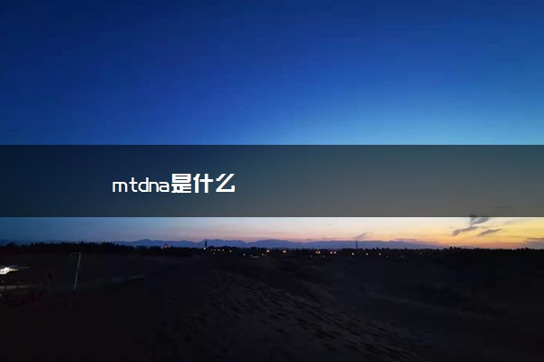 mtdna是什么