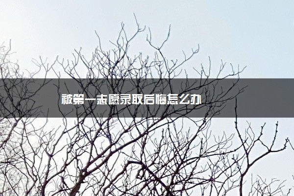 被第一志愿录取后悔怎么办