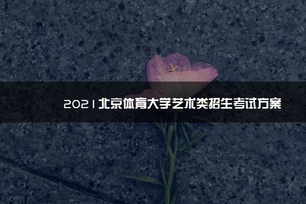 2021北京体育大学艺术类招生考试方案