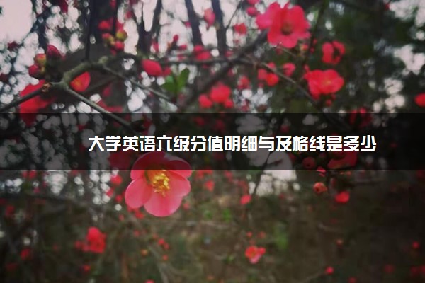 大学英语六级分值明细与及格线是多少