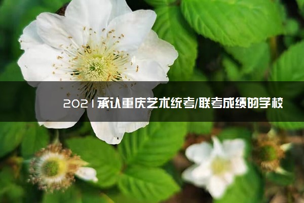 2021承认重庆艺术统考/联考成绩的学校有哪些