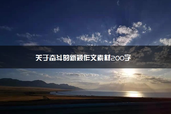 关于奋斗的新颖作文素材200字