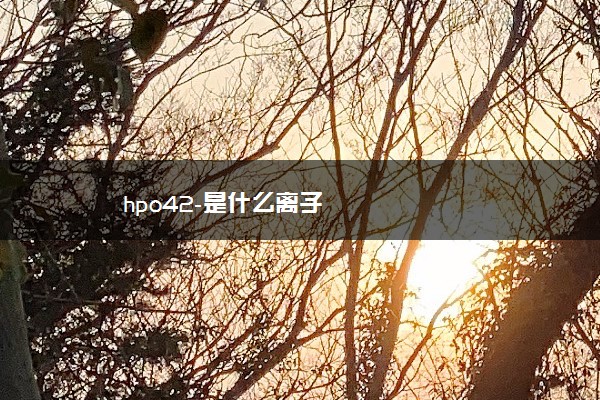 hpo42-是什么离子