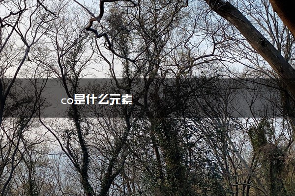 co是什么元素