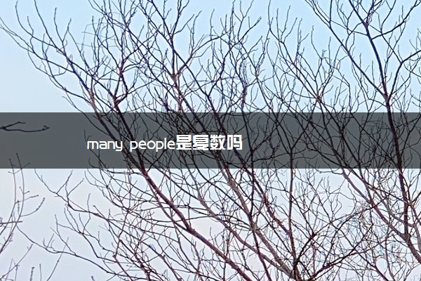 many people是复数吗