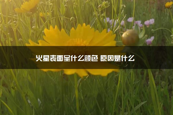 火星表面呈什么颜色 原因是什么