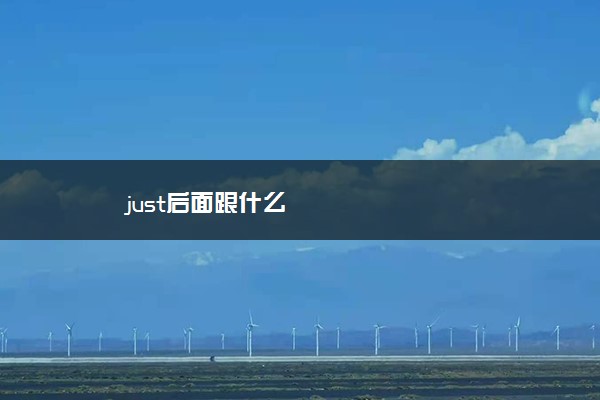 just后面跟什么