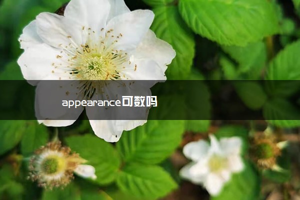 appearance可数吗