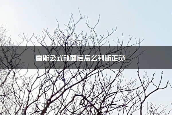 高斯公式补面后怎么判断正负