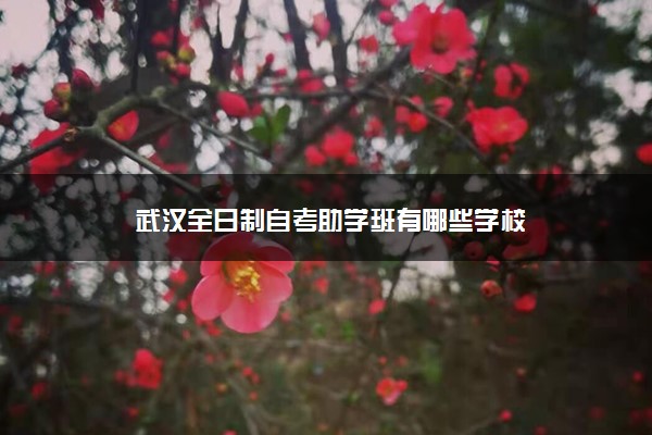 武汉全日制自考助学班有哪些学校