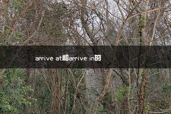 arrive at和arrive in的区别