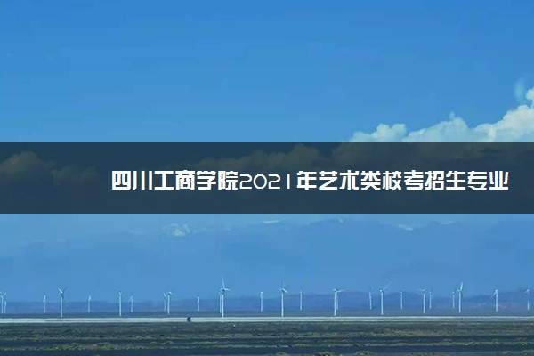 四川工商学院2021年艺术类校考招生专业