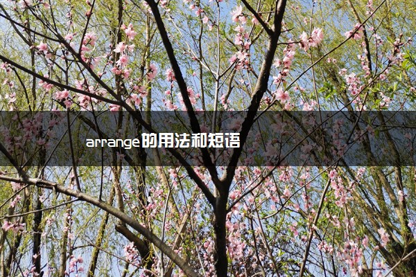 arrange的用法和短语