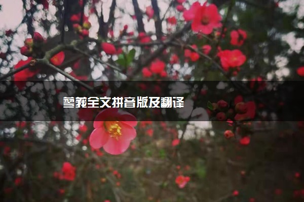 蓼莪全文拼音版及翻译