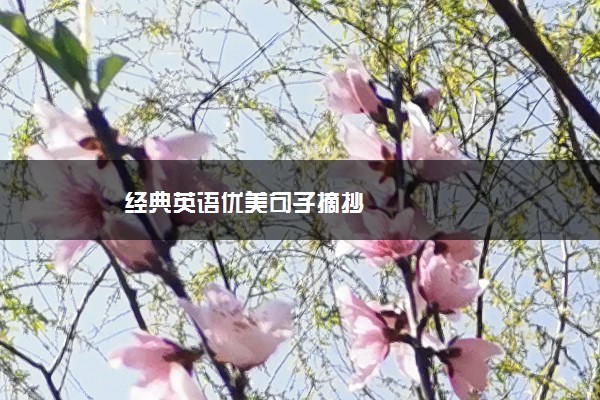 经典英语优美句子摘抄