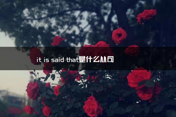 it is said that是什么从句