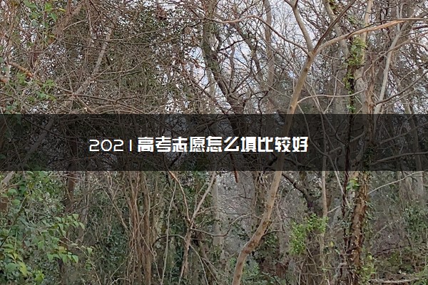 2021高考志愿怎么填比较好