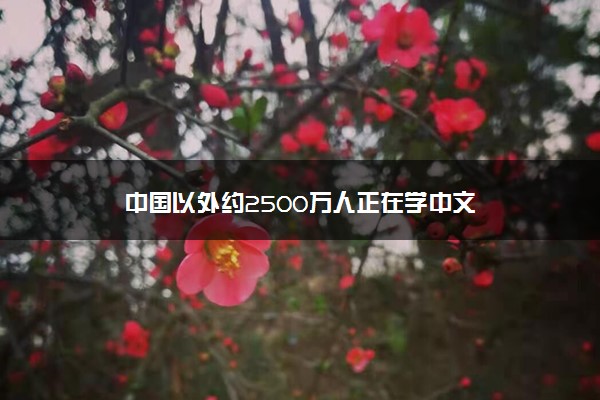 中国以外约2500万人正在学中文