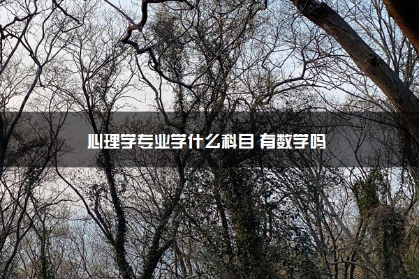 心理学专业学什么科目 有数学吗