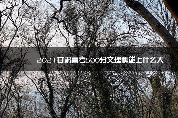 2021甘肃高考500分文理科能上什么大学