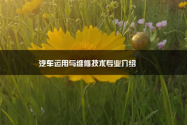 汽车运用与维修技术专业介绍