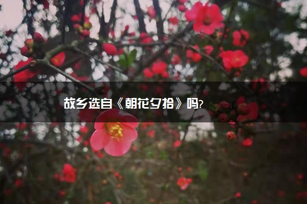 故乡选自《朝花夕拾》吗?