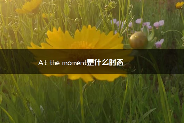 At the moment是什么时态