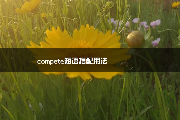 compete短语搭配用法