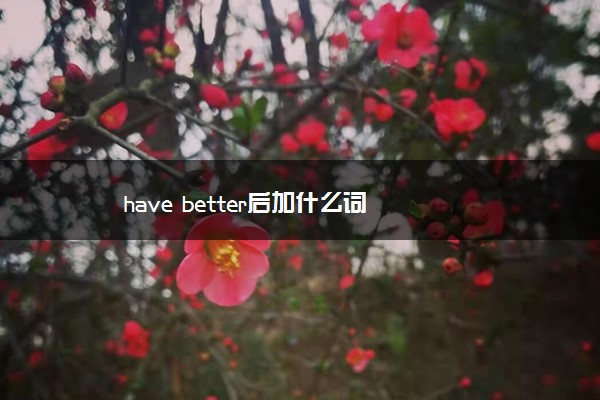 have better后加什么词