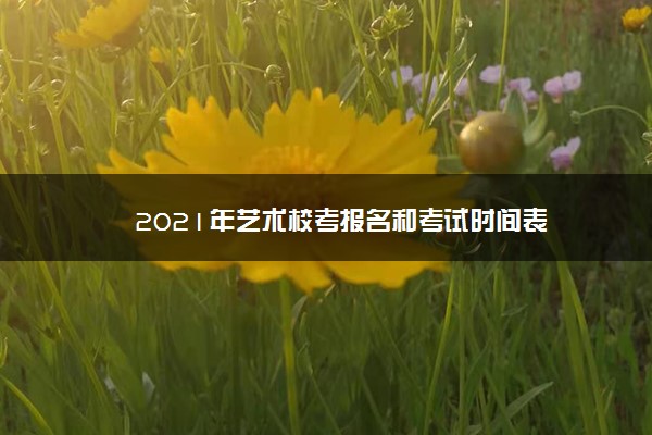 2021年艺术校考报名和考试时间表