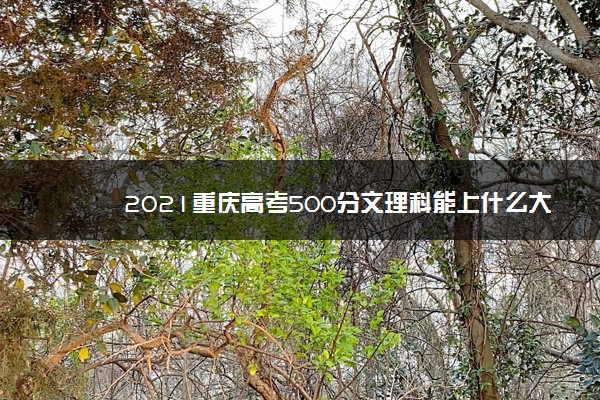 2021重庆高考500分文理科能上什么大学