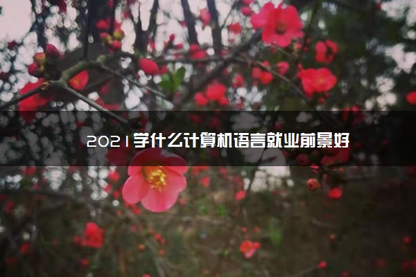 2021学什么计算机语言就业前景好