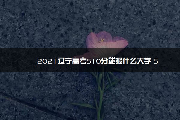 2021辽宁高考510分能报什么大学 510分院校名单