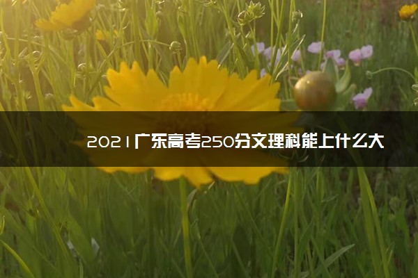 2021广东高考250分文理科能上什么大学 报考哪些大学好