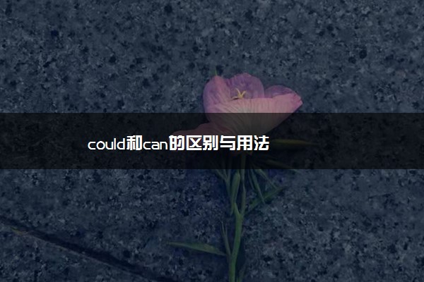 could和can的区别与用法