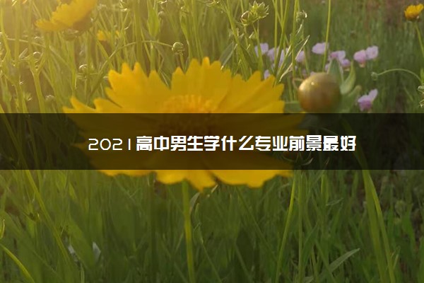 2021高中男生学什么专业前景最好