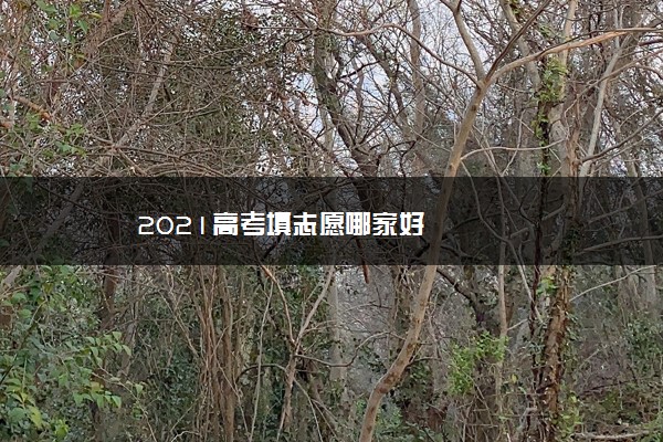 2021高考填志愿哪家好