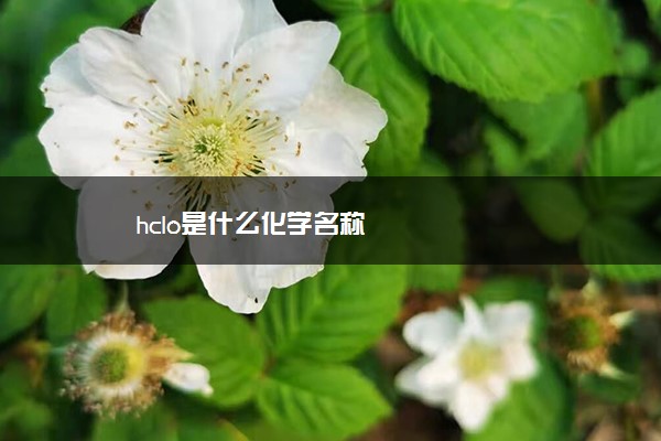 hclo是什么化学名称