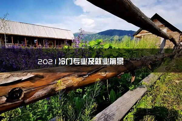 2021冷门专业及就业前景